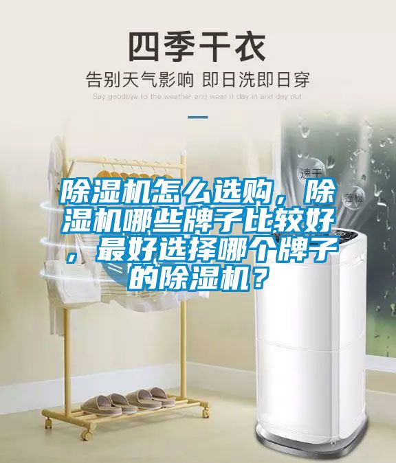 除濕機(jī)怎么選購，除濕機(jī)哪些牌子比較好，最好選擇哪個(gè)牌子的除濕機(jī)？