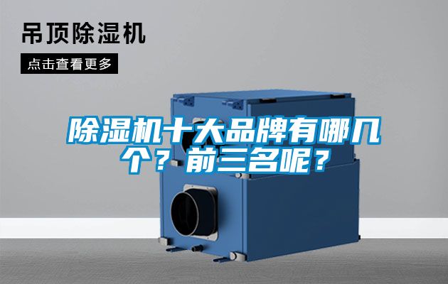 除濕機十大品牌有哪幾個？前三名呢？