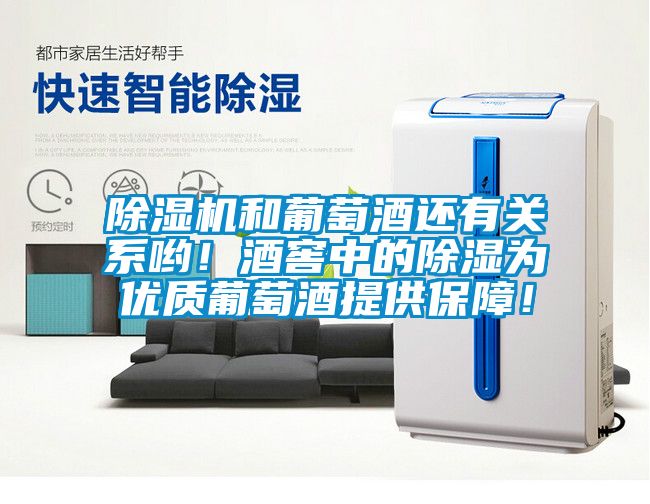 除濕機(jī)和葡萄酒還有關(guān)系喲！酒窖中的除濕為優(yōu)質(zhì)葡萄酒提供保障！