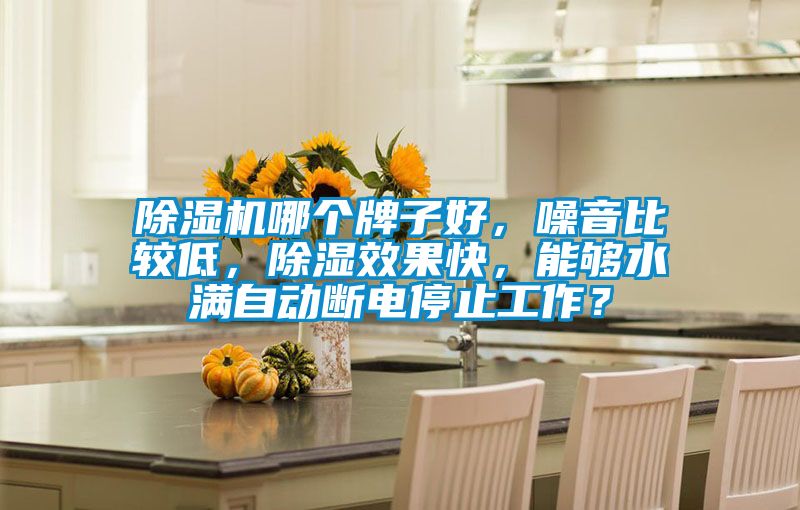 除濕機(jī)哪個(gè)牌子好，噪音比較低，除濕效果快，能夠水滿自動(dòng)斷電停止工作？