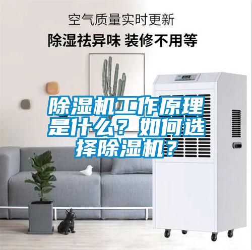 除濕機工作原理是什么？如何選擇除濕機？