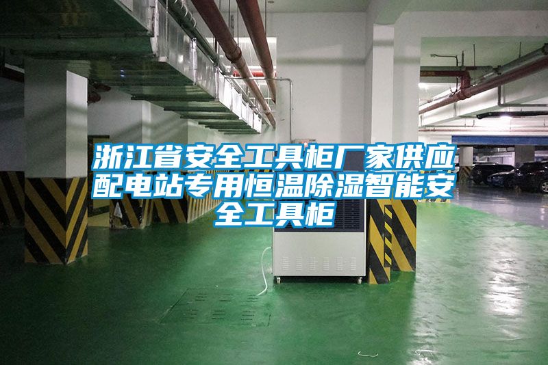 浙江省安全工具柜廠(chǎng)家供應(yīng)配電站專(zhuān)用恒溫除濕智能安全工具柜