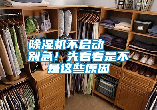 除濕機不啟動   別急！先看看是不是這些原因
