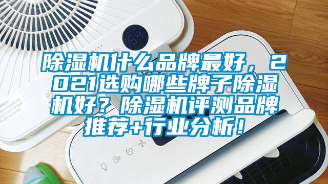 除濕機(jī)什么品牌最好，2021選購哪些牌子除濕機(jī)好？除濕機(jī)評測品牌推薦+行業(yè)分析！