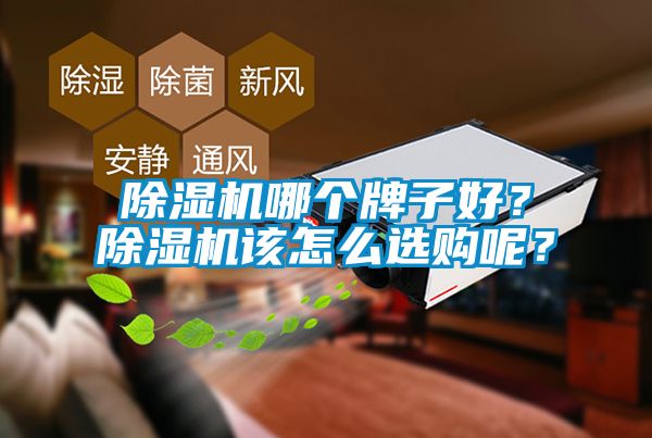 除濕機(jī)哪個(gè)牌子好？除濕機(jī)該怎么選購(gòu)呢？