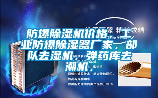 防爆除濕機(jī)價(jià)格，工業(yè)防爆除濕器廠家，部隊(duì)去濕機(jī)，彈藥庫(kù)去潮機(jī)，