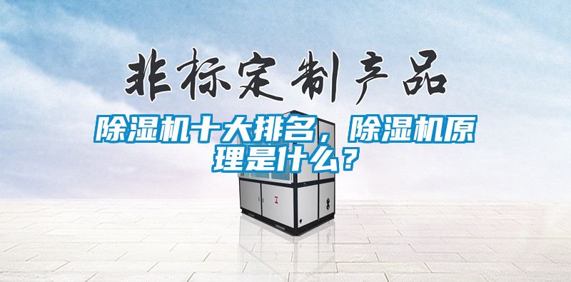 除濕機(jī)十大排名，除濕機(jī)原理是什么？