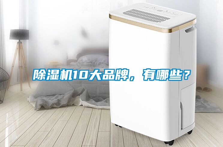 除濕機(jī)10大品牌，有哪些？