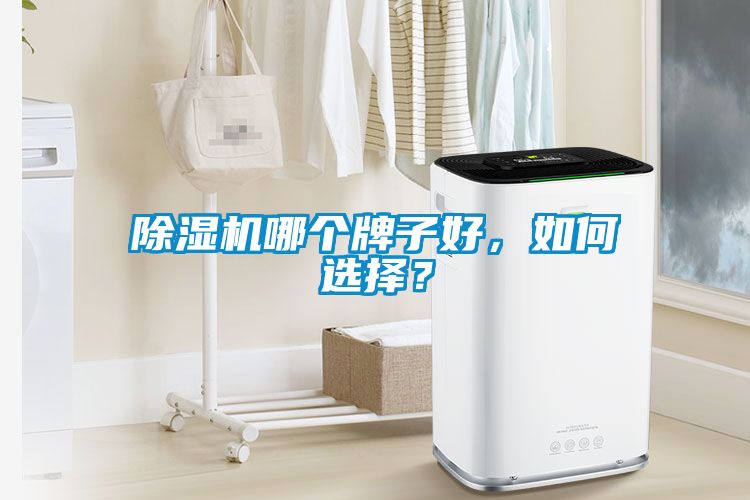 除濕機哪個牌子好，如何選擇？