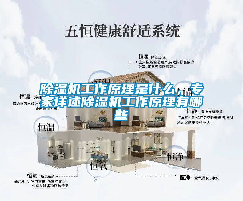除濕機(jī)工作原理是什么，專(zhuān)家詳述除濕機(jī)工作原理有哪些
