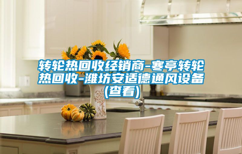 轉輪熱回收經(jīng)銷商-寒亭轉輪熱回收-濰坊安適德通風設備(查看)