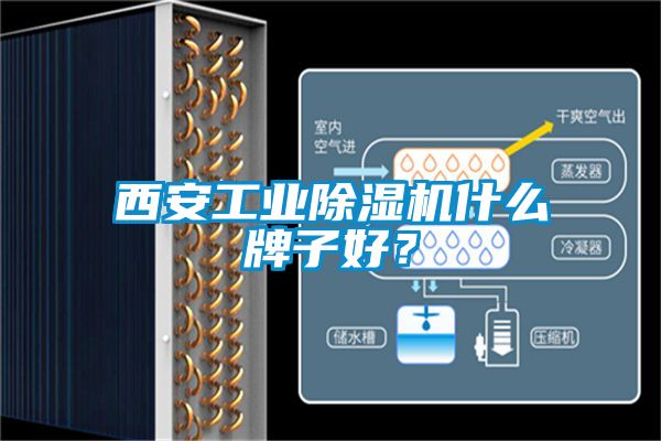 西安工業(yè)除濕機什么牌子好？
