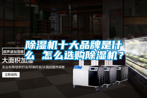 除濕機(jī)十大品牌是什么 怎么選購(gòu)除濕機(jī)？