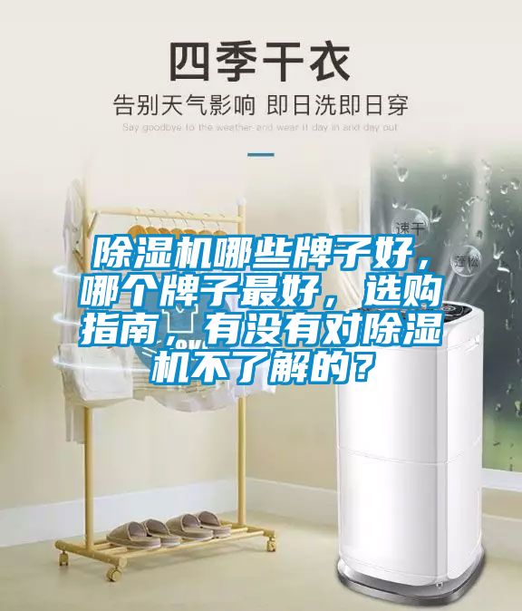 除濕機(jī)哪些牌子好，哪個(gè)牌子最好，選購(gòu)指南，有沒(méi)有對(duì)除濕機(jī)不了解的？