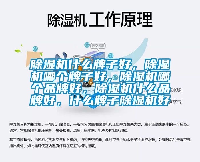 除濕機什么牌子好，除濕機哪個牌子好，除濕機哪個品牌好，除濕機什么品牌好，什么牌子除濕機好