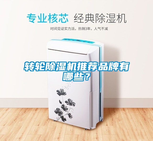 轉輪除濕機推薦品牌有哪些？