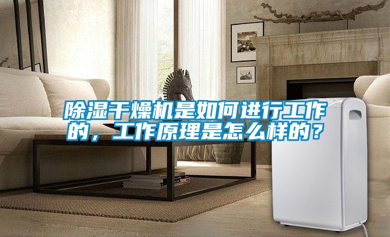 除濕干燥機是如何進行工作的，工作原理是怎么樣的？