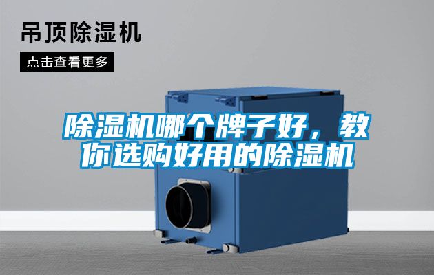 除濕機哪個牌子好，教你選購好用的除濕機