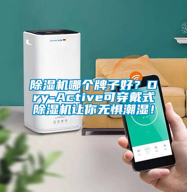 除濕機哪個牌子好？Dry-Active可穿戴式除濕機讓你無懼潮濕！