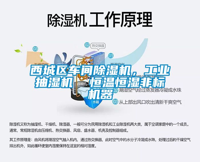 西城區(qū)車間除濕機，工業(yè)抽濕機  恒溫恒濕非標(biāo)機器
