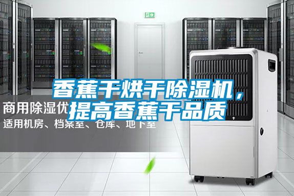 香蕉干烘干除濕機(jī)，提高香蕉干品質(zhì)