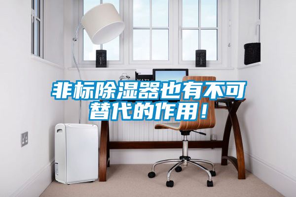 非標(biāo)除濕器也有不可替代的作用！
