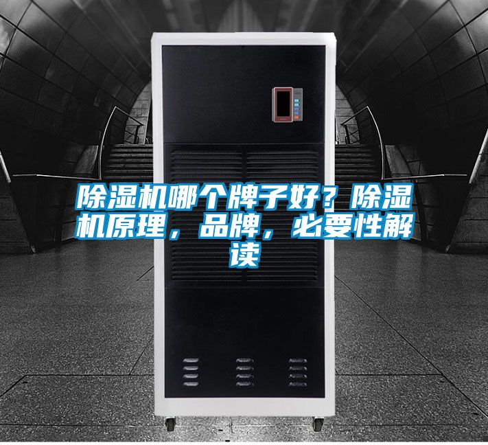 除濕機(jī)哪個(gè)牌子好？除濕機(jī)原理，品牌，必要性解讀