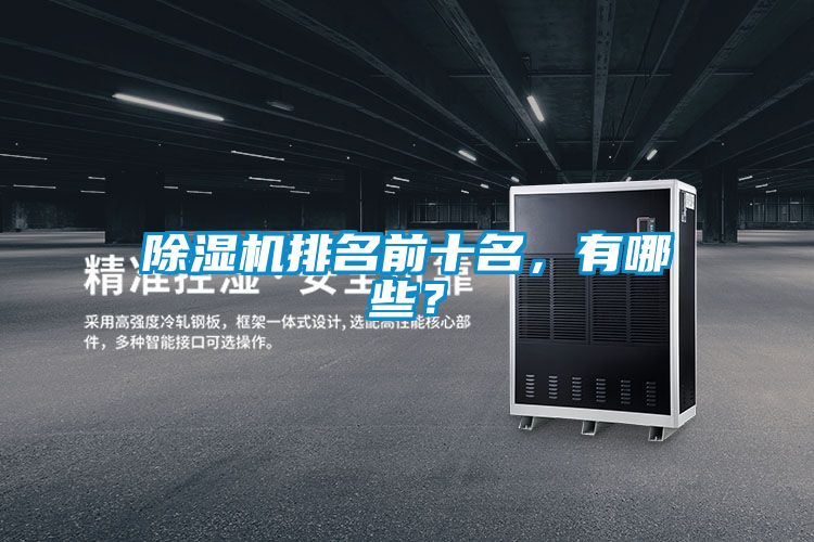 除濕機(jī)排名前十名，有哪些？