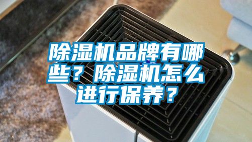 除濕機(jī)品牌有哪些？除濕機(jī)怎么進(jìn)行保養(yǎng)？