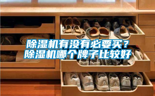 除濕機(jī)有沒(méi)有必要買(mǎi)？除濕機(jī)哪個(gè)牌子比較好