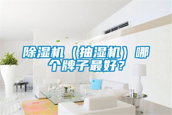 除濕機(jī)（抽濕機(jī)）哪個(gè)牌子最好？
