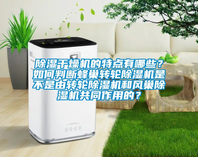除濕干燥機(jī)的特點(diǎn)有哪些？如何判斷蜂巢轉(zhuǎn)輪除濕機(jī)是不是由轉(zhuǎn)輪除濕機(jī)和風(fēng)巢除濕機(jī)共同作用的？