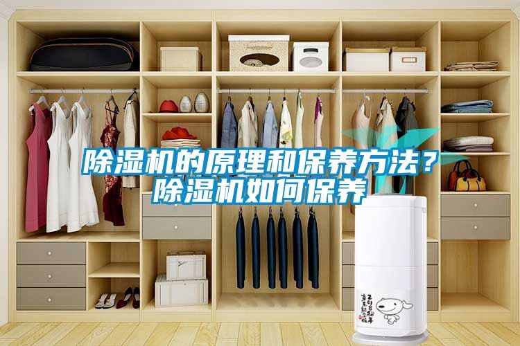 除濕機(jī)的原理和保養(yǎng)方法？除濕機(jī)如何保養(yǎng)