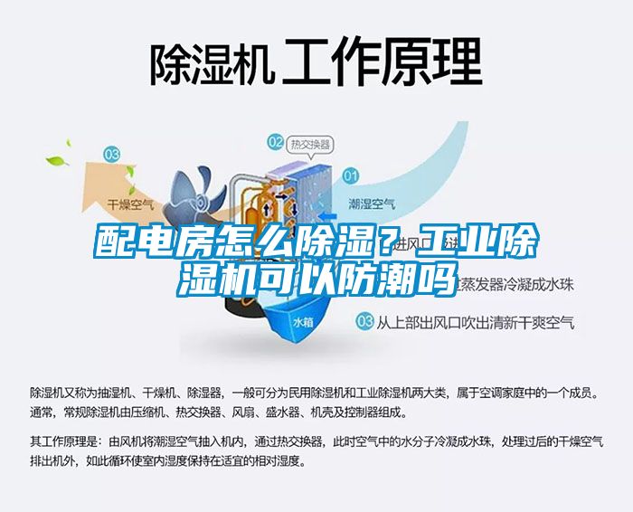 配電房怎么除濕？工業(yè)除濕機(jī)可以防潮嗎
