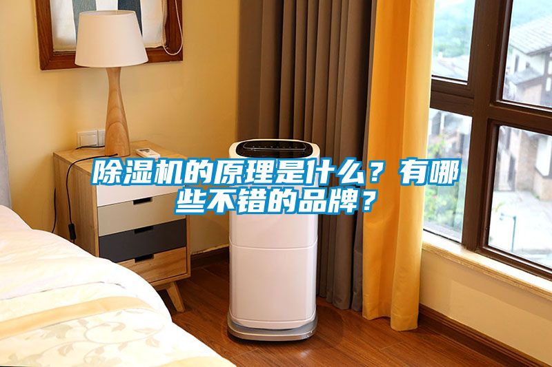 除濕機(jī)的原理是什么？有哪些不錯(cuò)的品牌？