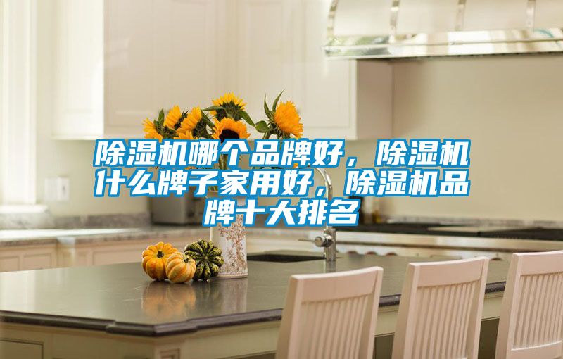 除濕機(jī)哪個(gè)品牌好，除濕機(jī)什么牌子家用好，除濕機(jī)品牌十大排名