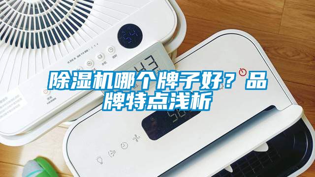 除濕機(jī)哪個(gè)牌子好？品牌特點(diǎn)淺析