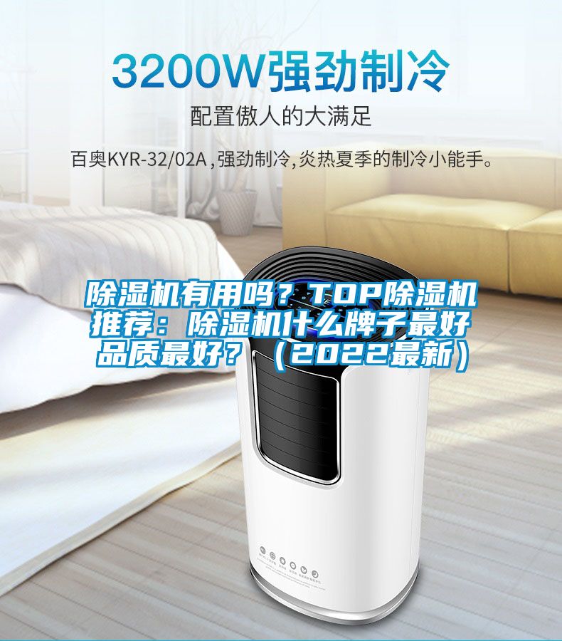 除濕機有用嗎？TOP除濕機推薦：除濕機什么牌子最好品質(zhì)最好？（2022最新）