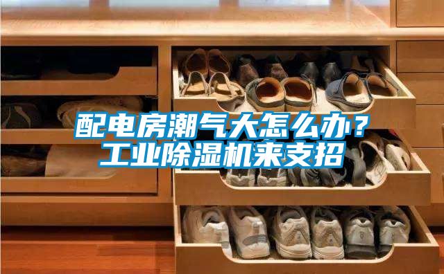 配電房潮氣大怎么辦？工業(yè)除濕機(jī)來支招