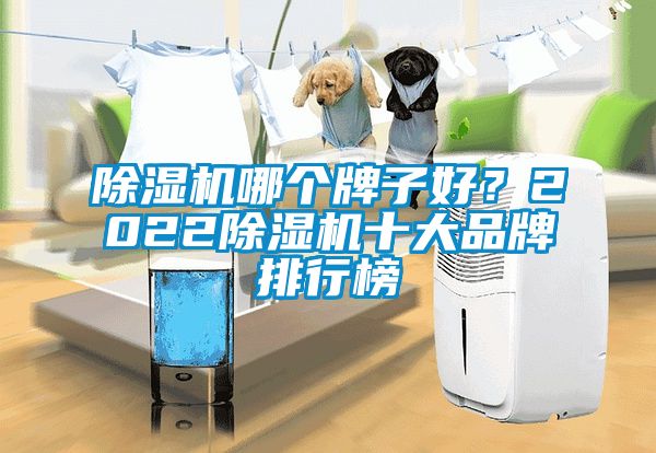 除濕機(jī)哪個(gè)牌子好？2022除濕機(jī)十大品牌排行榜