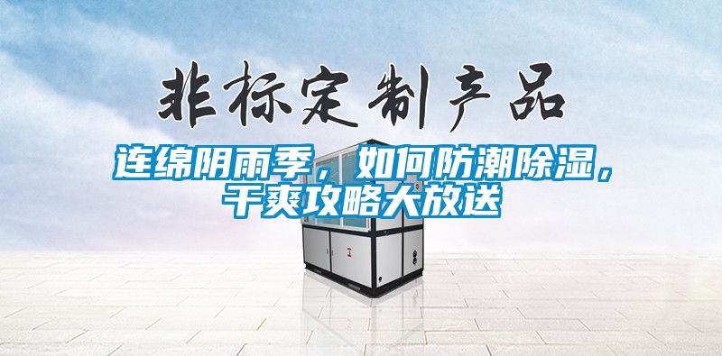 連綿陰雨季，如何防潮除濕，干爽攻略大放送