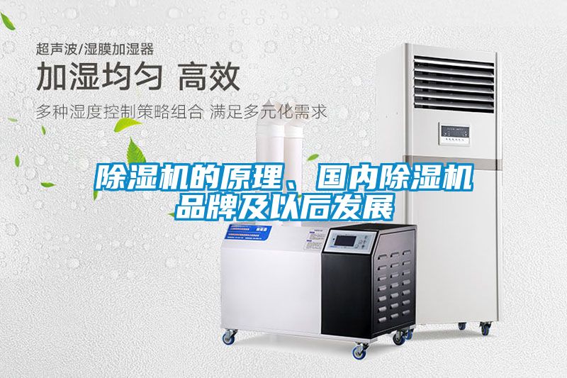 除濕機(jī)的原理、國內(nèi)除濕機(jī)品牌及以后發(fā)展