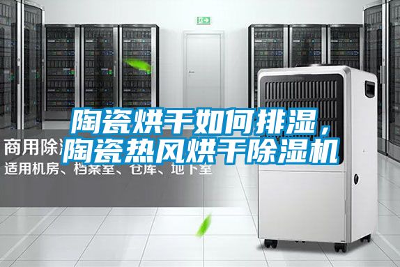 陶瓷烘干如何排濕，陶瓷熱風(fēng)烘干除濕機(jī)