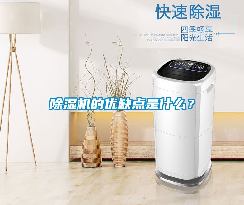 除濕機(jī)的優(yōu)缺點(diǎn)是什么？