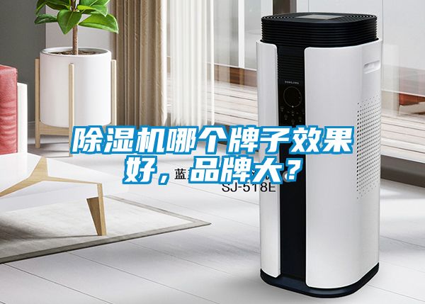 除濕機(jī)哪個(gè)牌子效果好，品牌大？