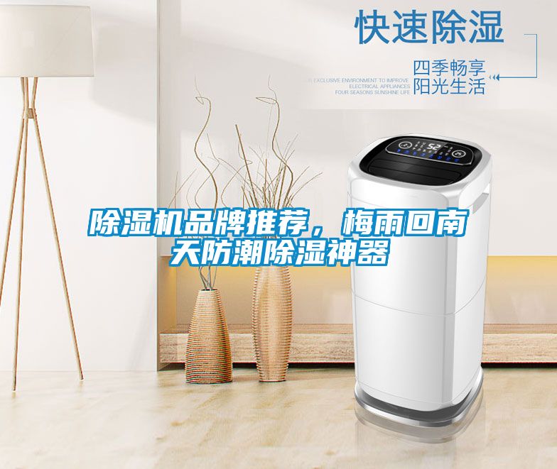 除濕機(jī)品牌推薦，梅雨回南天防潮除濕神器