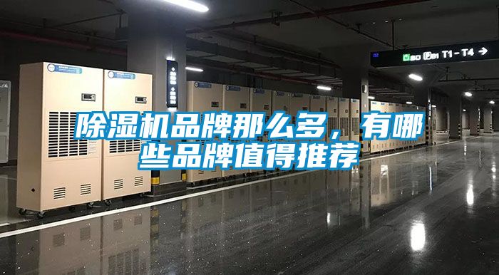 除濕機(jī)品牌那么多，有哪些品牌值得推薦