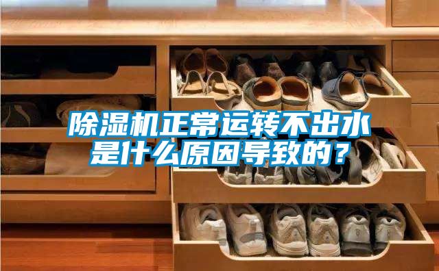 除濕機正常運轉不出水是什么原因導致的？