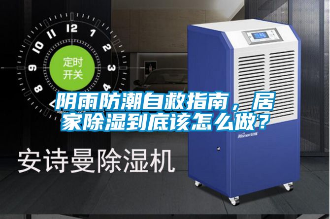 陰雨防潮自救指南，居家除濕到底該怎么做？