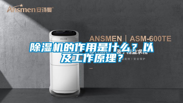 除濕機(jī)的作用是什么？以及工作原理？
